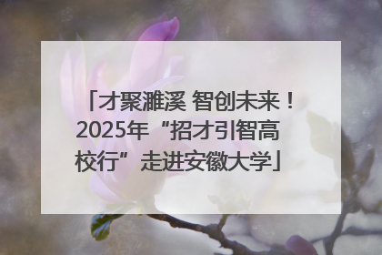 才聚濉溪 智创未来！2025年“招才引智高校行”走进安徽大学