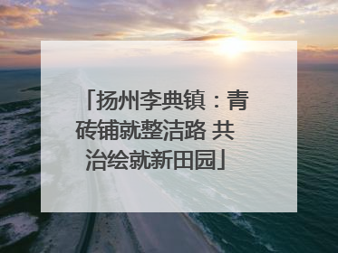 扬州李典镇：青砖铺就整洁路 共治绘就新田园