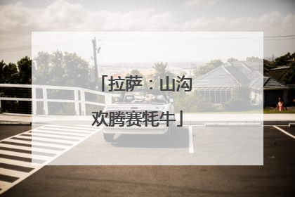 拉萨：山沟欢腾赛牦牛