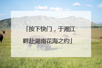 按下快门，于湘江畔赴湖南花海之约