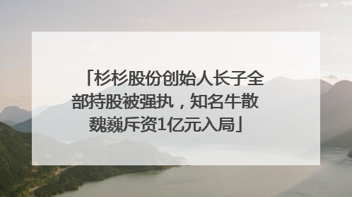 杉杉股份创始人长子全部持股被强执，知名牛散魏巍斥资1亿元入局