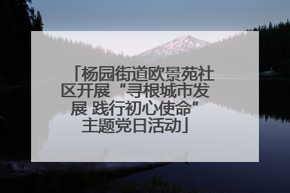 杨园街道欧景苑社区开展“寻根城市发展 践行初心使命”主题党日活动