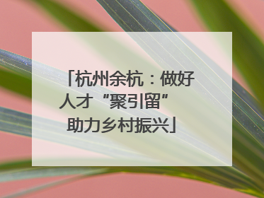 杭州余杭：做好人才“聚引留” 助力乡村振兴