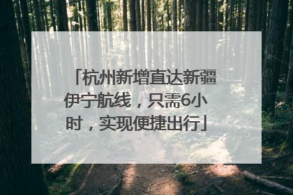 杭州新增直达新疆伊宁航线，只需6小时，实现便捷出行
