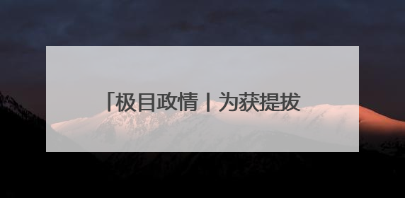 极目政情丨为获提拔，“80后”副区长送给国家工作人员巨额财物被“双开”