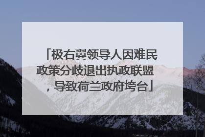 极右翼领导人因难民政策分歧退出执政联盟，导致荷兰政府垮台