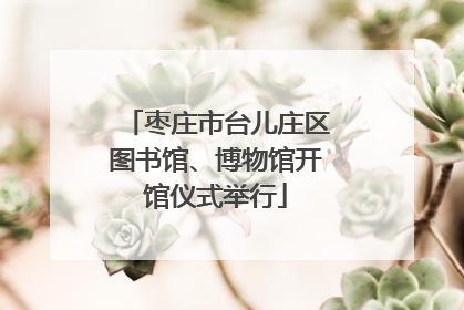 枣庄市台儿庄区图书馆、博物馆开馆仪式举行