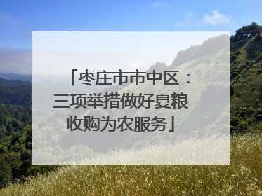 枣庄市市中区：三项举措做好夏粮收购为农服务