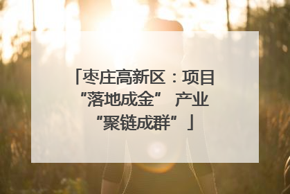 枣庄高新区：项目“落地成金” 产业“聚链成群”
