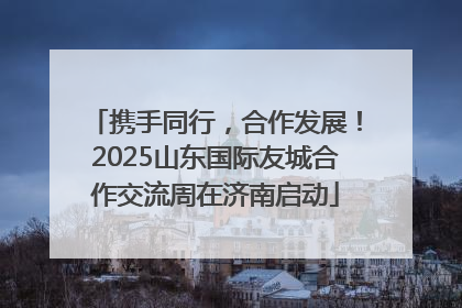 携手同行，合作发展！2025山东国际友城合作交流周在济南启动