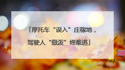 摩托车“误入”庄稼地，驾驶人“撒泼”终难逃