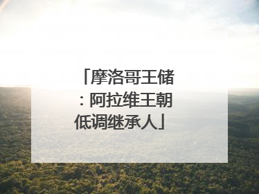 摩洛哥王储：阿拉维王朝低调继承人