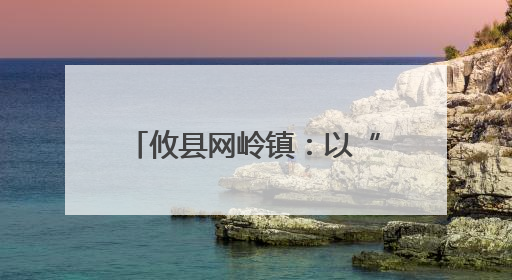 攸县网岭镇：以“党建红”筑牢乡村教育“安全绿”