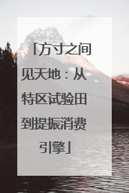 方寸之间见天地：从特区试验田到提振消费引擎