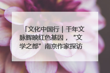 文化中国行｜千年文脉辉映红色基因，“文学之都”南京作家探访中国龙虾之都盱眙