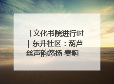 文化书院进行时｜东升社区：葫芦丝声韵悠扬 奏响文化和谐曲