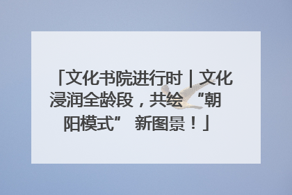 文化书院进行时｜文化浸润全龄段，共绘 “朝阳模式” 新图景！