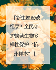 新生鸳鸯破纪录！全民守护绘就生物多样性保护“杭州样本”