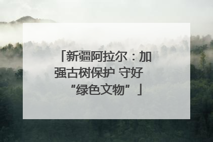 新疆阿拉尔：加强古树保护 守好“绿色文物”