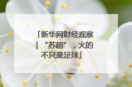 新华网财经观察｜“苏超”，火的不只是足球