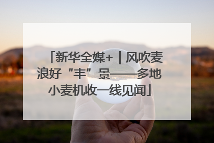 新华全媒+｜风吹麦浪好“丰”景——多地小麦机收一线见闻