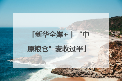 新华全媒+丨“中原粮仓”麦收过半