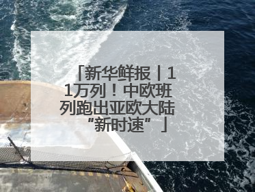 新华鲜报丨11万列！中欧班列跑出亚欧大陆“新时速”