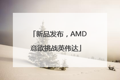 新品发布，AMD意欲挑战英伟达
