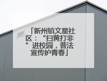 新州镇文星社区：“扫黄打非”进校园，普法宣传护青春