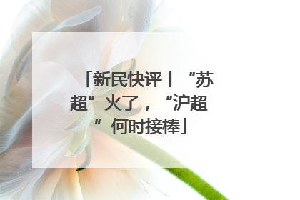 新民快评丨“苏超”火了，“沪超”何时接棒