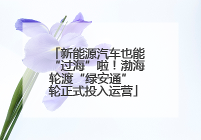 新能源汽车也能“过海”啦！渤海轮渡“绿安通” 轮正式投入运营