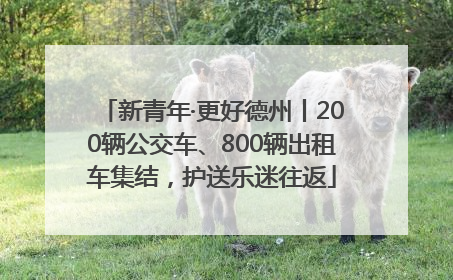新青年·更好德州丨200辆公交车、800辆出租车集结，护送乐迷往返