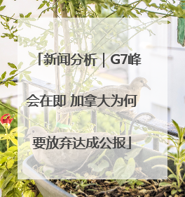 新闻分析｜G7峰会在即 加拿大为何要放弃达成公报