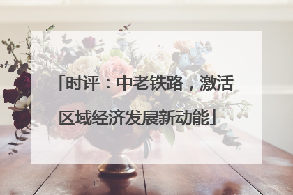 时评：中老铁路，激活区域经济发展新动能