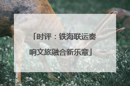 时评：铁海联运奏响文旅融合新乐章