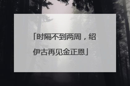 时隔不到两周，绍伊古再见金正恩