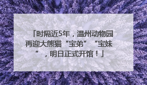 时隔近5年，温州动物园再迎大熊猫“宝弟”“宝妹”，明日正式开馆！