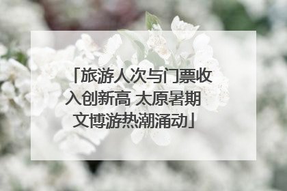 旅游人次与门票收入创新高 太原暑期文博游热潮涌动