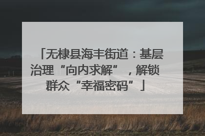 无棣县海丰街道：基层治理“向内求解”，解锁群众“幸福密码”