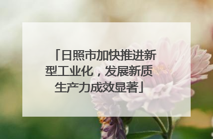 日照市加快推进新型工业化，发展新质生产力成效显著