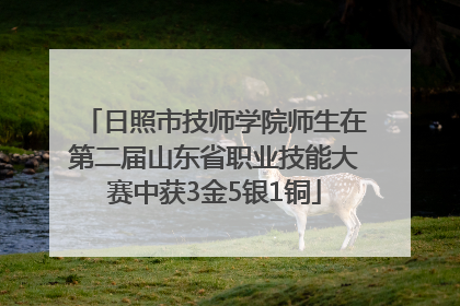 日照市技师学院师生在第二届山东省职业技能大赛中获3金5银1铜