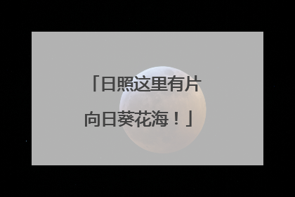 日照这里有片向日葵花海！