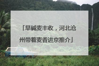 旱碱麦丰收，河北沧州带着麦香进京推介