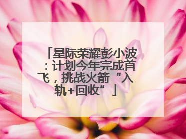 星际荣耀彭小波：计划今年完成首飞，挑战火箭“入轨+回收”