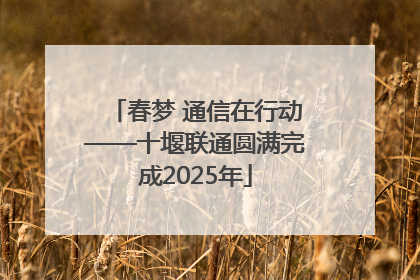 春梦 通信在行动——十堰联通圆满完成2025年