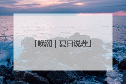 晚潮｜夏日说莲