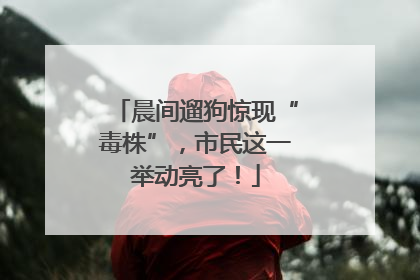晨间遛狗惊现“毒株”，市民这一举动亮了！
