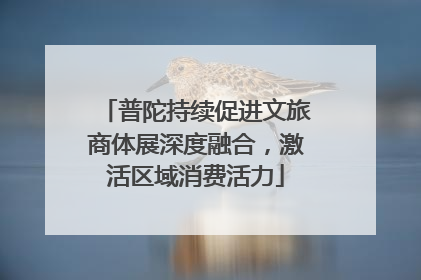 普陀持续促进文旅商体展深度融合，激活区域消费活力