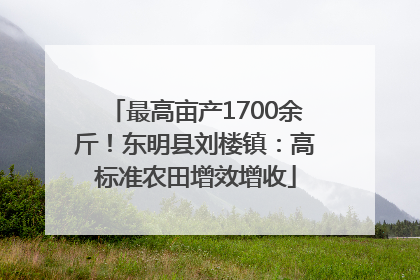 最高亩产1700余斤！东明县刘楼镇：高标准农田增效增收