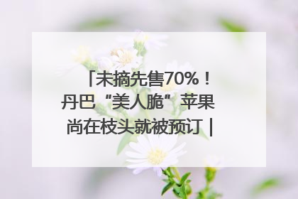 未摘先售70%！丹巴“美人脆”苹果尚在枝头就被预订｜长征路上看四川